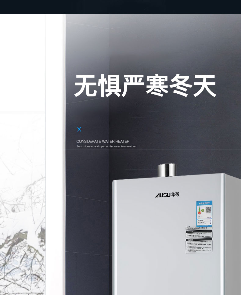 C290燃氣熱水器-拷貝_14.jpg